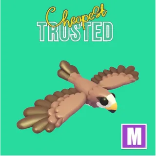 Black Kite Mega