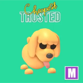 Toy Poodle Mega