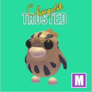 Tawny Frogmouth Mega