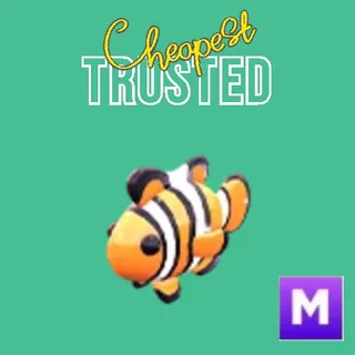 Clownfish Mega
