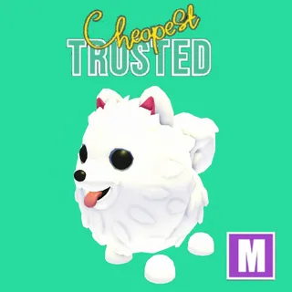 Mega Samoyed