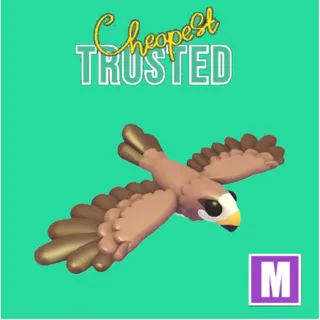 Black Kite Mega