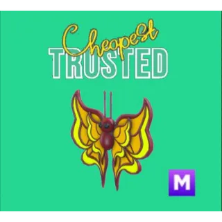 Amber Butterfly Mega