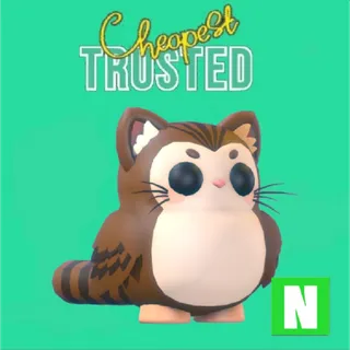 Purrowl Neon