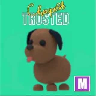 Chocolate Labrador Mega