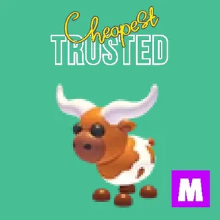 Longhorn Cow Mega