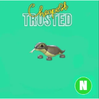 Komodo Dragon neon