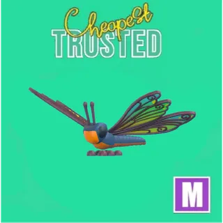 Clubtail Dragonfly Mega