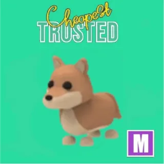 Dingo Mega