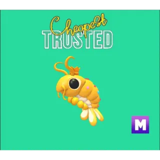 Mega priceless shrimp