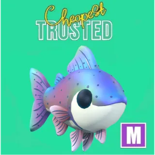 Mega Rainbow Trout