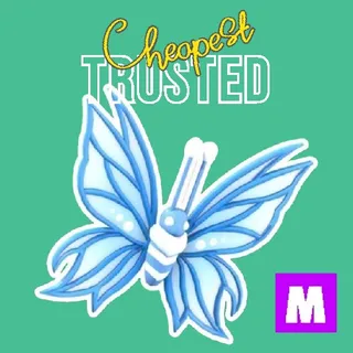 2024 Birthday Butterfly Mega 