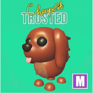 2pcs Irish Setter mega