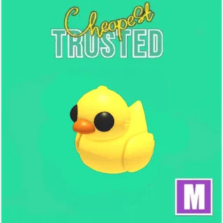 Mega rubber ducky 2pcs