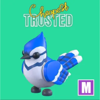 Blue Jay Mega