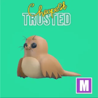 2pcs Galapagos Sea Lion Mega