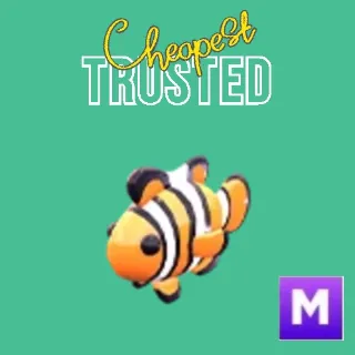 Clownfish Mega