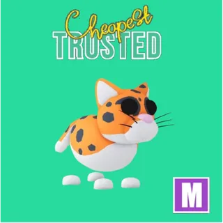 Indian Leopard Mega