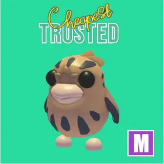 Tawny Frogmouth Mega