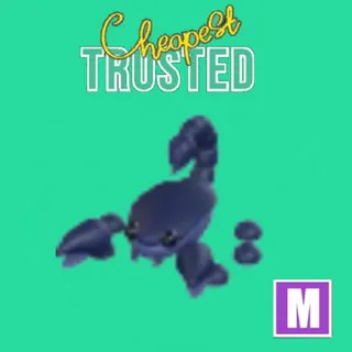 MEGA  Halloween Blue Scorpion