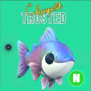 Neon Rainbow Trout