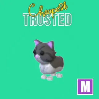 Persian Cat Mega