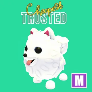 Mega Samoyed