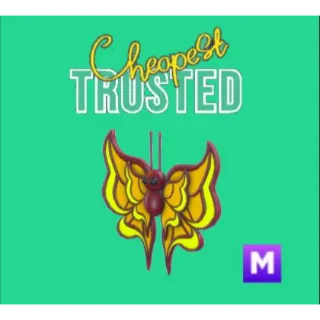 Amber Butterfly Mega