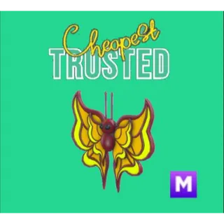 Amber Butterfly Mega