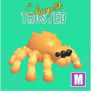 Jumping Spider Mega