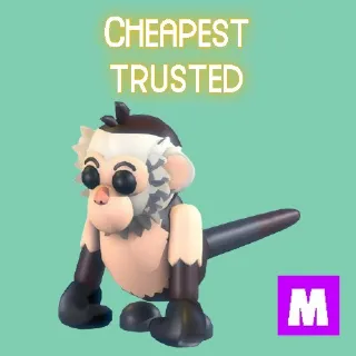 Capuchin Monkey Mega