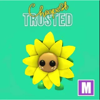 Sunflower Friend Mega