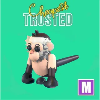 Capuchin Monkey Mega