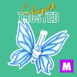 2024 Birthday Butterfly Mega 