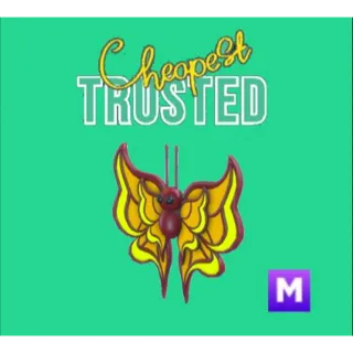 Amber Butterfly Mega