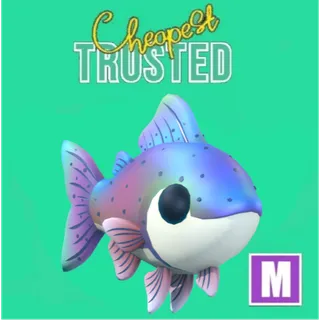 Mega Rainbow Trout