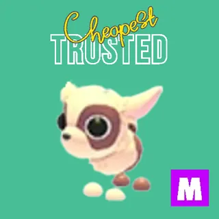 Kid Goat Mega