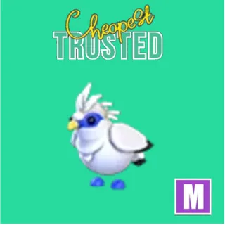 Bali Starling Mega