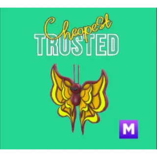 Amber Butterfly Mega