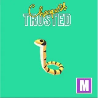 Yellow-lipped Sea Krait Mega