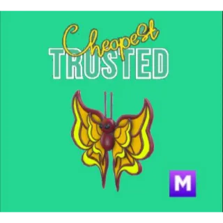 Amber Butterfly Mega