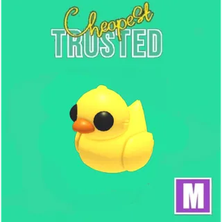 Mega rubber ducky 2pcs