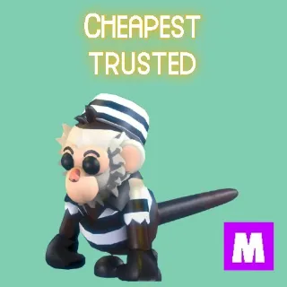 Inmate Capuchin Monkey Mega