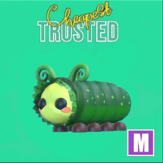 Mega Pinkypillar