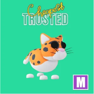 Indian Leopard Mega