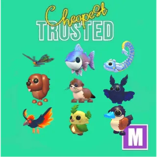 SUMMER CAMP PET MEGA BUNDLE