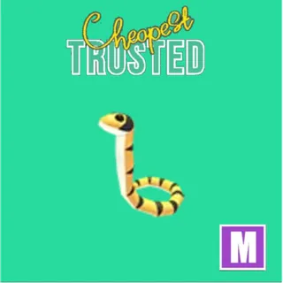 Yellow-lipped Sea Krait Mega