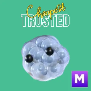Frogspawn  Mega