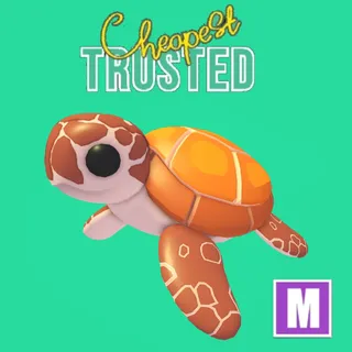 Sea Turtle Mega