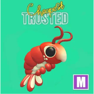 Emperor Shrimp Mega